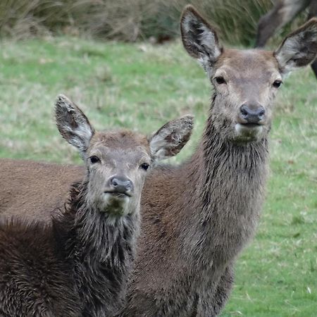 Exmoor Bnb In Withypool On Two Moors Way Luaran gambar