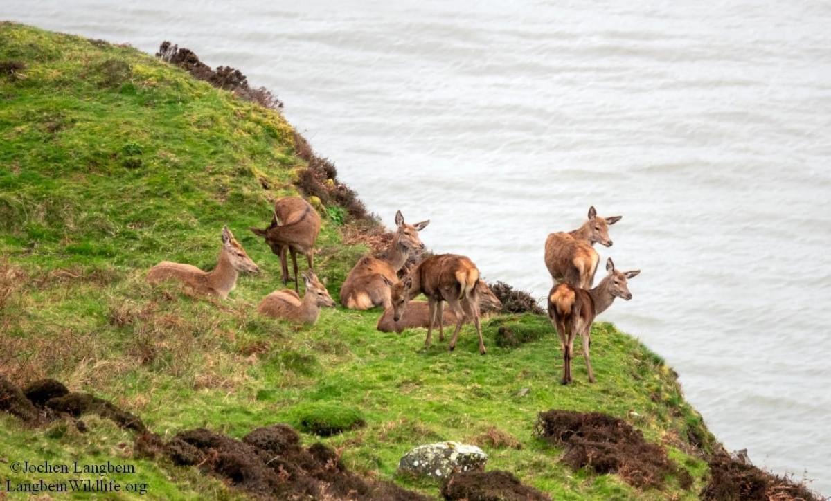 Exmoor Bnb In Withypool On Two Moors Way Luaran gambar