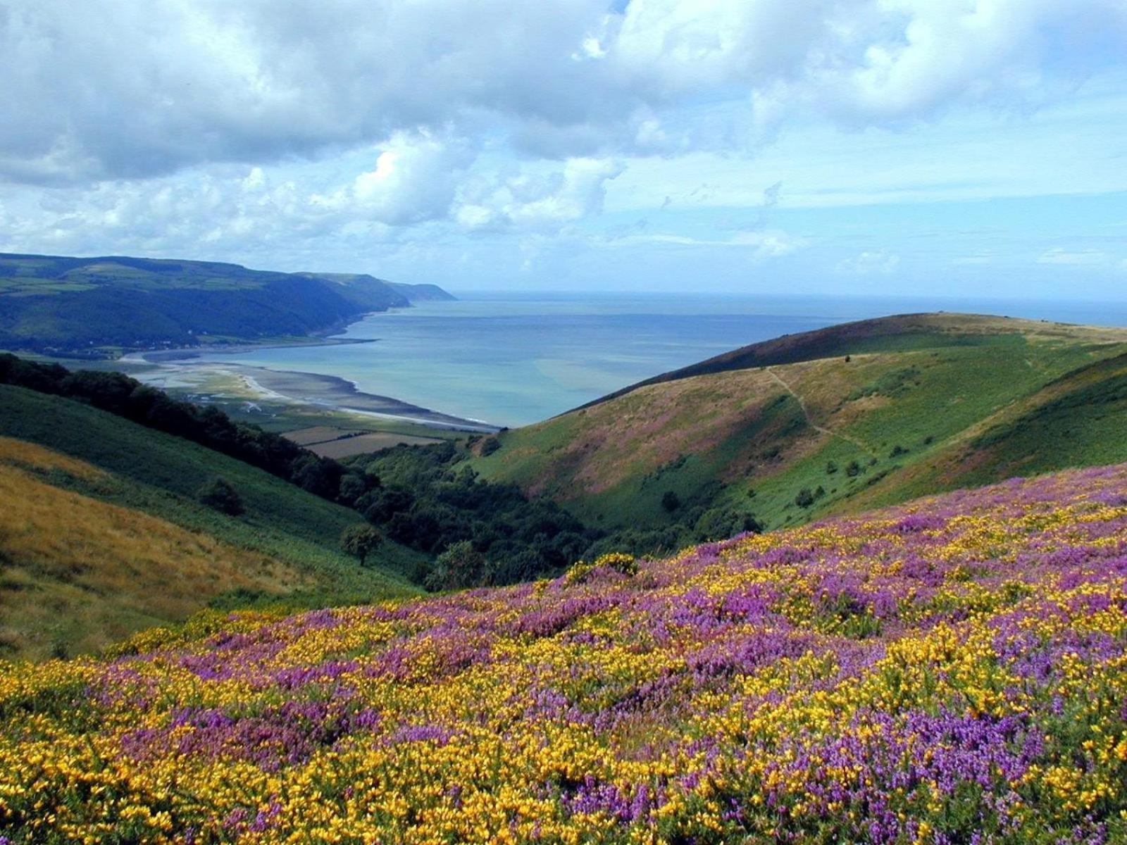 Exmoor Bnb In Withypool On Two Moors Way Luaran gambar