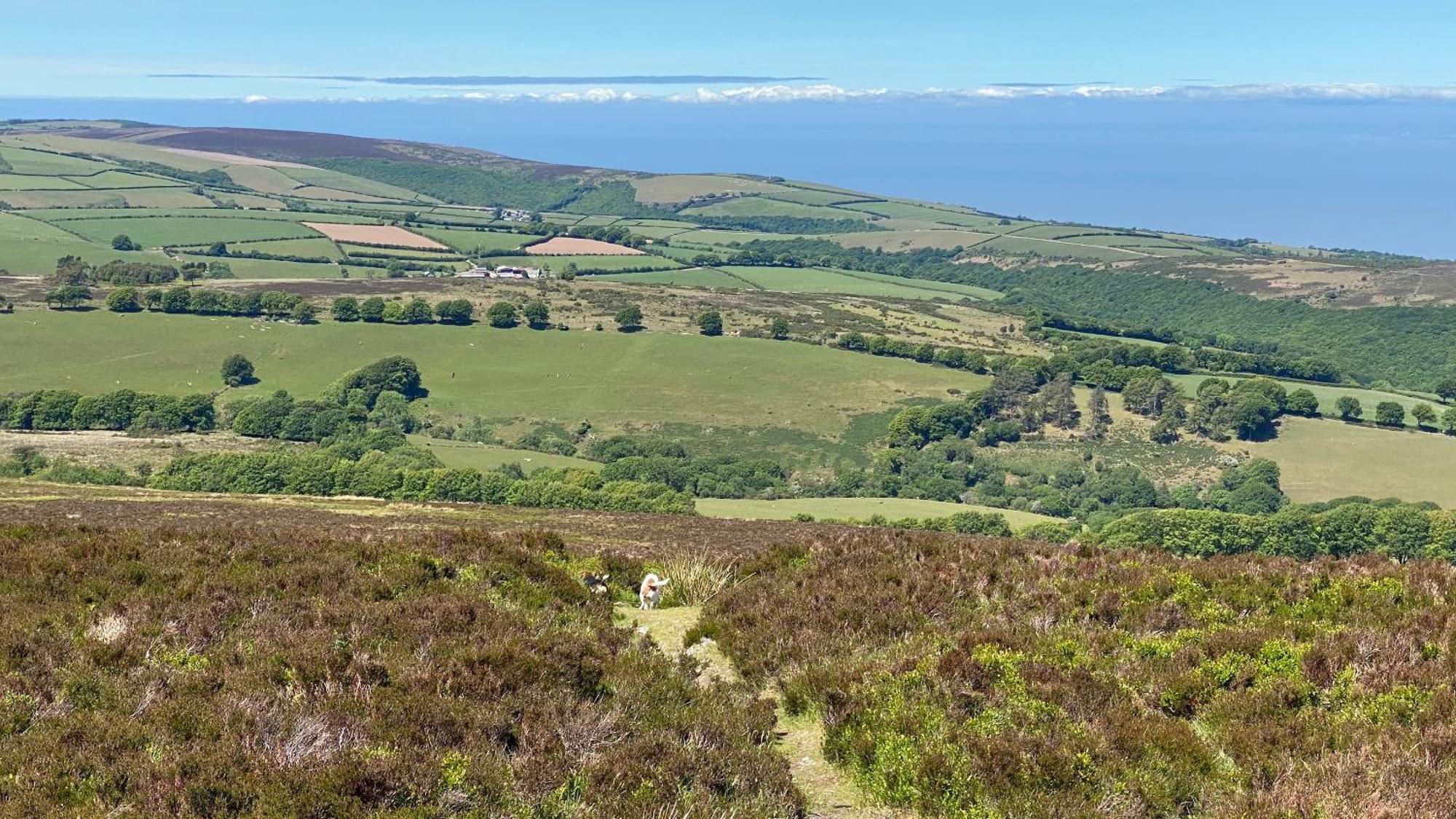 Exmoor Bnb In Withypool On Two Moors Way Luaran gambar